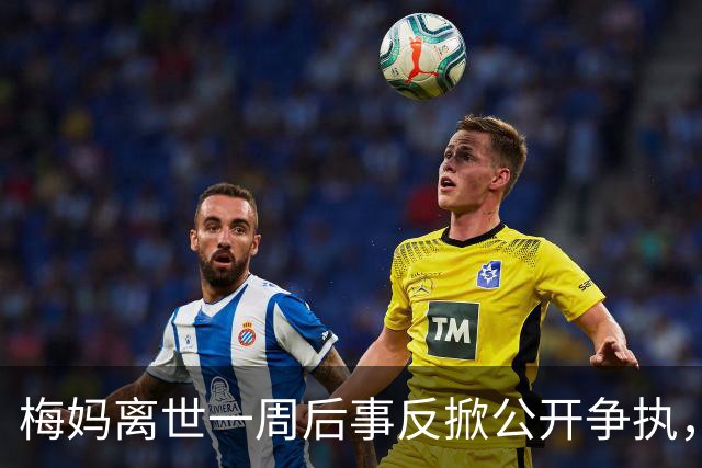 梅妈离世一周后事反掀公开争执，150万丧礼预算惹遗嘱与主导权风波