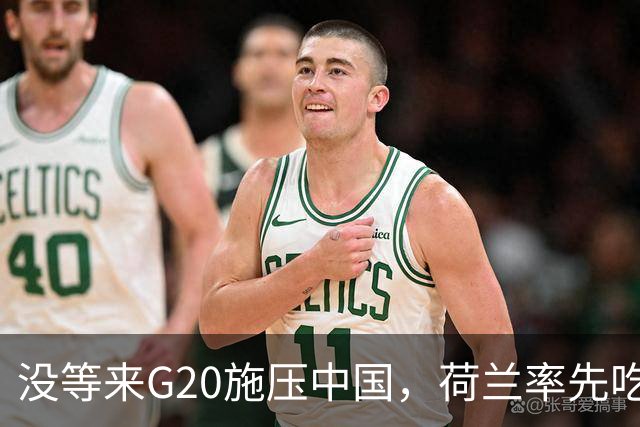 没等来G20施压中国，荷兰率先吃到中方罚牌，21亿在华资产被冻结